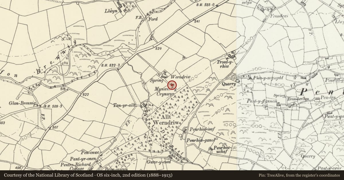 Ordnance Survey six-inch map, 2nd edition (1888–1913) covering the location of Enclosure walls, steps and memorial plaque to Quaker Burial Ground at Werndriw, Llanddewi Brefi, Ceredigion, with a pin at the register's coordinates