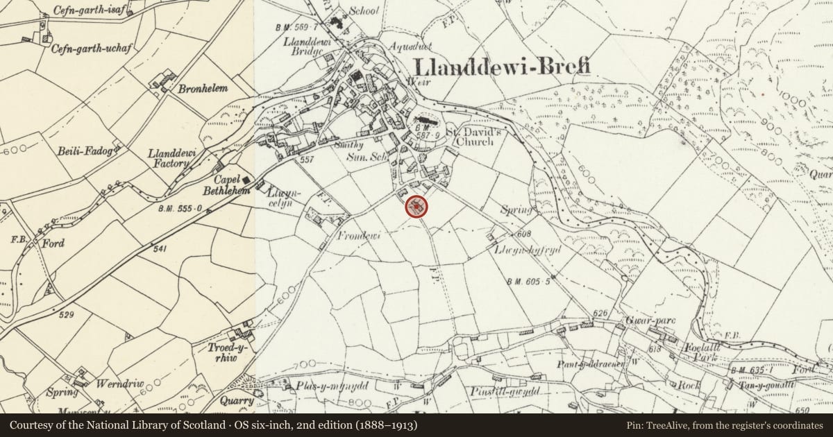 Ordnance Survey six-inch map, 2nd edition (1888–1913) covering the location of 2 Penuwch Street, Llanddewi Brefi, Ceredigion, with a pin at the register's coordinates