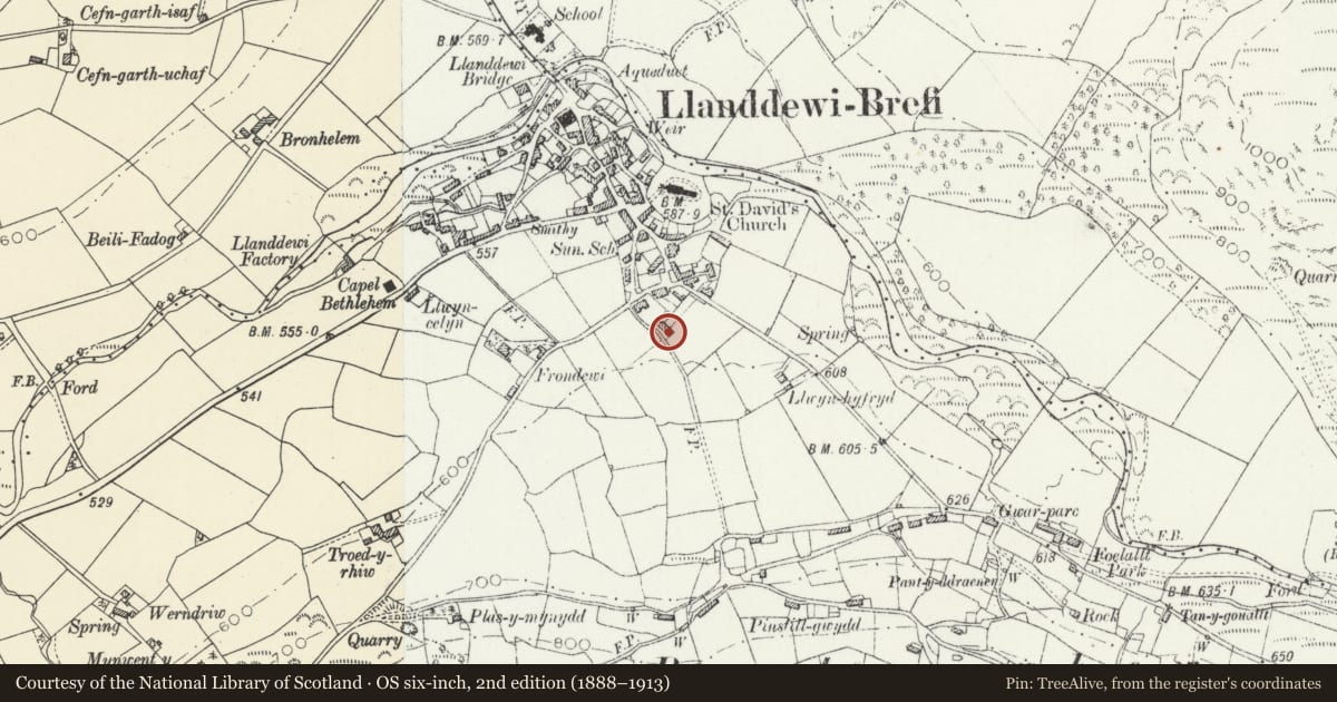 Ordnance Survey six-inch map, 2nd edition (1888–1913) covering the location of 3 Penuwch Street, Llanddewi Brefi, Ceredigion, with a pin at the register's coordinates