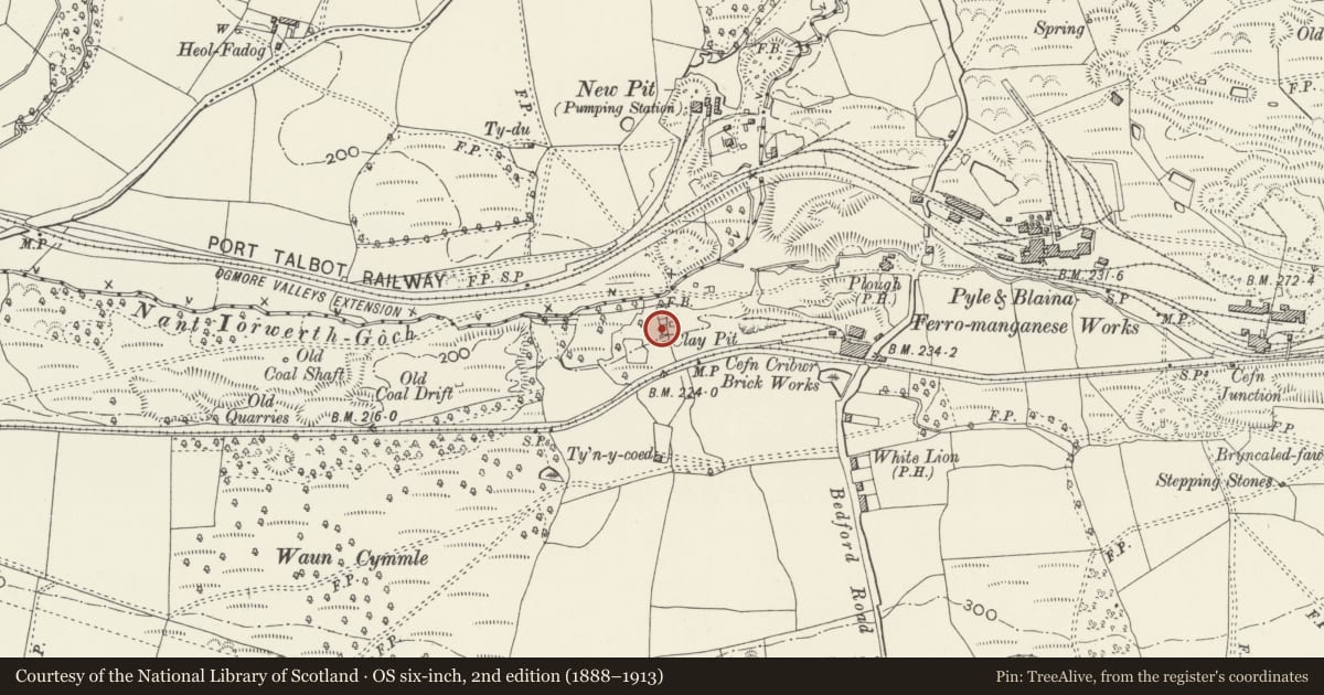 Ordnance Survey six-inch map, 2nd edition (1888–1913) covering the location of Cefn Cribwr ironworks, the furnace and charging house, Bridgend, with a pin at the register's coordinates