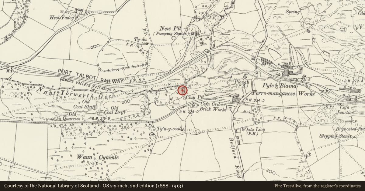 Ordnance Survey six-inch map, 2nd edition (1888–1913) covering the location of Cast house at Cefn Cribwr Ironworks, Bridgend, with a pin at the register's coordinates