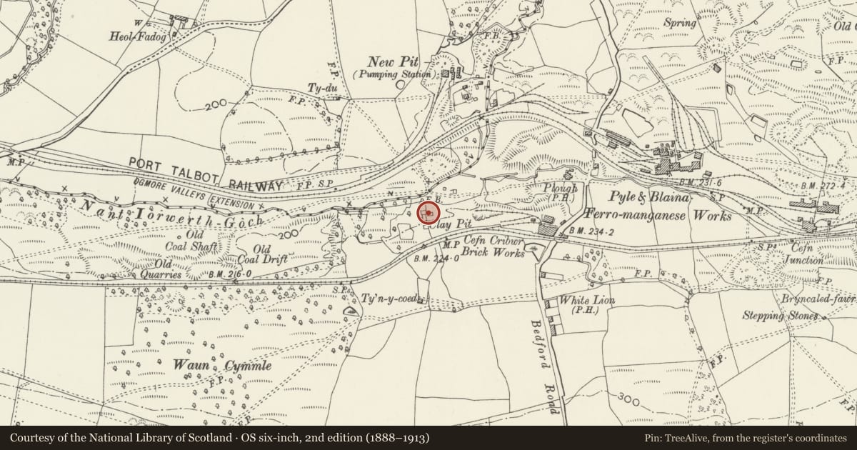 Ordnance Survey six-inch map, 2nd edition (1888–1913) covering the location of Blast Engine house at Cefn Cribwr Ironworks, Bridgend, with a pin at the register's coordinates