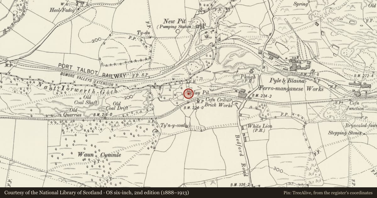 Ordnance Survey six-inch map, 2nd edition (1888–1913) covering the location of Calcining kilns at Cefn Cribwr ironworks, Bridgend, with a pin at the register's coordinates