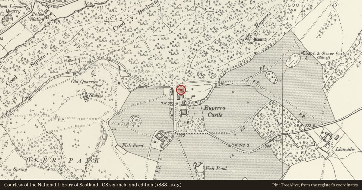 Ordnance Survey six-inch map, 2nd edition (1888–1913) covering the location of Stable and coach-house courtyard ranges to north of Ruperra Castle, Rudry, Caerphilly, with a pin at the register's coordinates