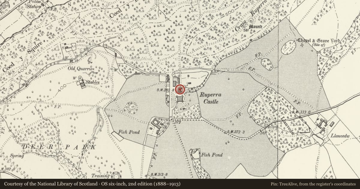 Ordnance Survey six-inch map, 2nd edition (1888–1913) covering the location of Former Dairy and Laundry to north of Ruperra Castle, Rudry, Caerphilly, with a pin at the register's coordinates
