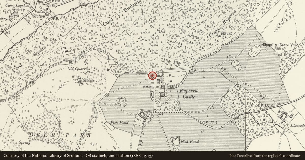 Ordnance Survey six-inch map, 2nd edition (1888–1913) covering the location of Generating House and attached workshops to north-west of Ruperra Castle, Rudry, Caerphilly, with a pin at the register's coordinates