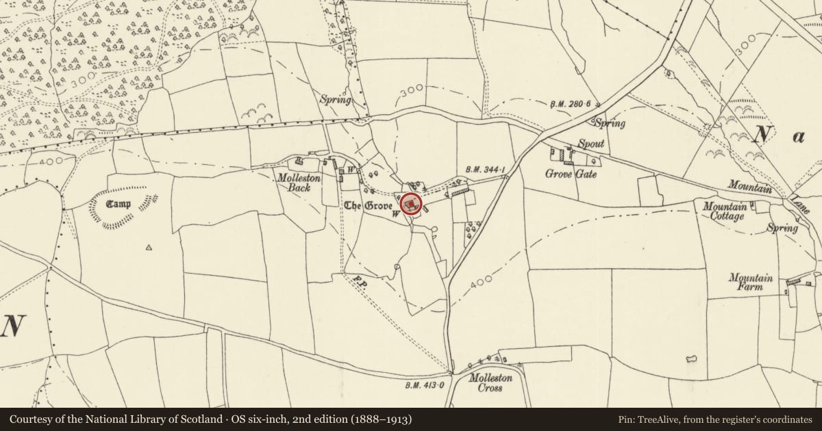 Ordnance Survey six-inch map, 2nd edition (1888–1913) covering the location of The Grove, Templeton, Pembrokeshire, with a pin at the register's coordinates