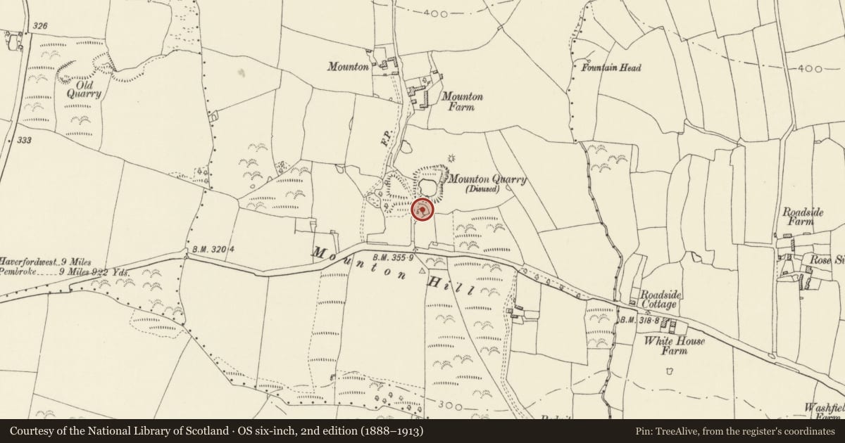 Ordnance Survey six-inch map, 2nd edition (1888–1913) covering the location of Mounton Quarry Limekiln, Templeton, Pembrokeshire, with a pin at the register's coordinates
