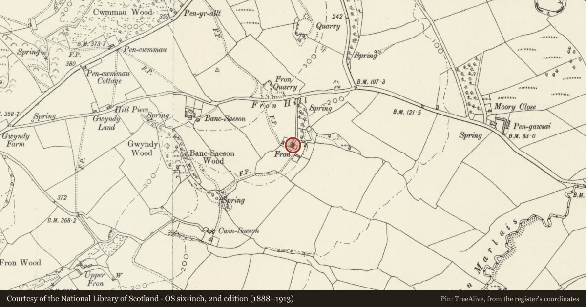 Ordnance Survey six-inch map, 2nd edition (1888–1913) covering the location of Fron, Llanddewi Velfrey, Pembrokeshire, with a pin at the register's coordinates