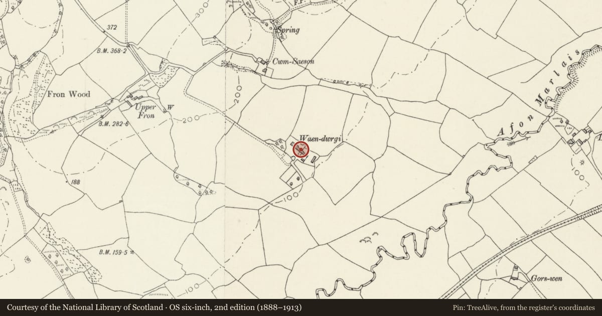 Ordnance Survey six-inch map, 2nd edition (1888–1913) covering the location of Waundwrgi farmhouse, Llanddewi Velfrey, Pembrokeshire, with a pin at the register's coordinates