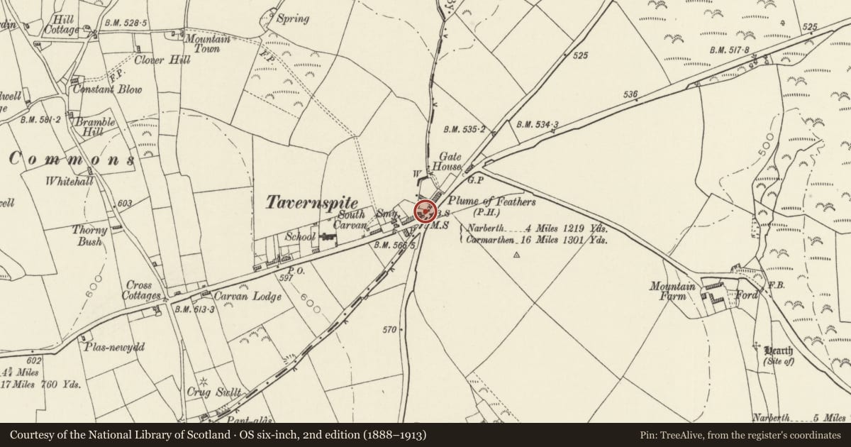 Ordnance Survey six-inch map, 2nd edition (1888–1913) covering the location of Cyffic and Lampeter Velfrey Parish Boundary Stone, Pembrokeshire, with a pin at the register's coordinates