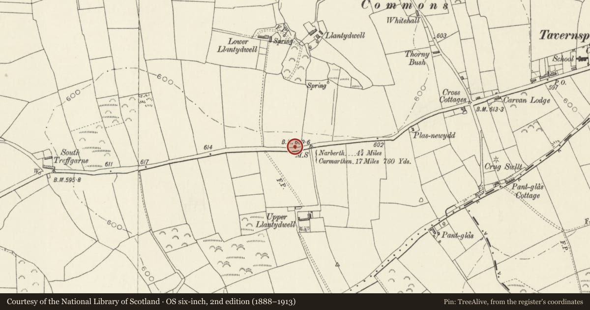 Ordnance Survey six-inch map, 2nd edition (1888–1913) covering the location of Milepost near Lower Llantydwell, Lampeter Velfrey, Pembrokeshire, with a pin at the register's coordinates