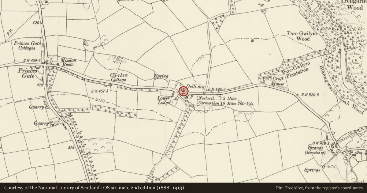 Ordnance Survey six-inch map, 2nd edition (1888–1913) covering the location of Milepost at Gelli-deg, Lampeter Velfrey, Pembrokeshire, with a pin at the register's coordinates