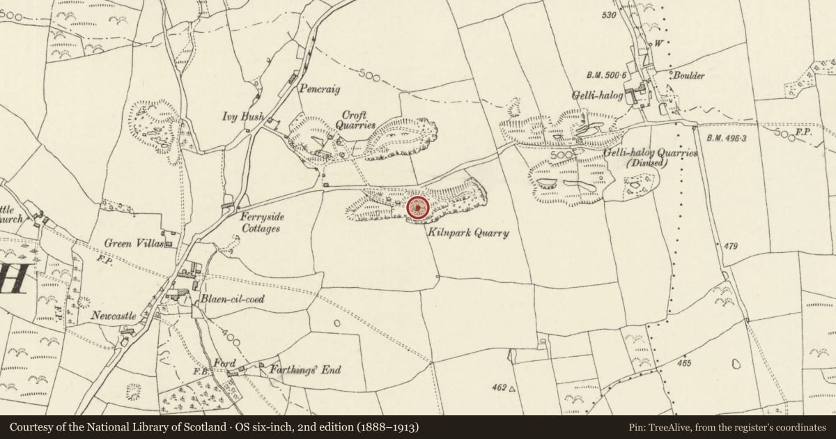 Ordnance Survey six-inch map, 2nd edition (1888–1913) covering the location of East Limekiln at Kiln Park, Blaencilgoed, Lampeter Velfrey, Pembrokeshire, with a pin at the register's coordinates