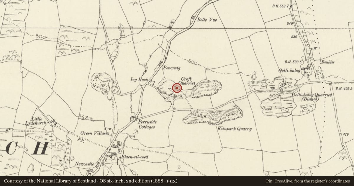 Ordnance Survey six-inch map, 2nd edition (1888–1913) covering the location of West Limekiln at Croft Quarries, Blaencilgoed, Lampeter Velfrey, Pembrokeshire, with a pin at the register's coordinates