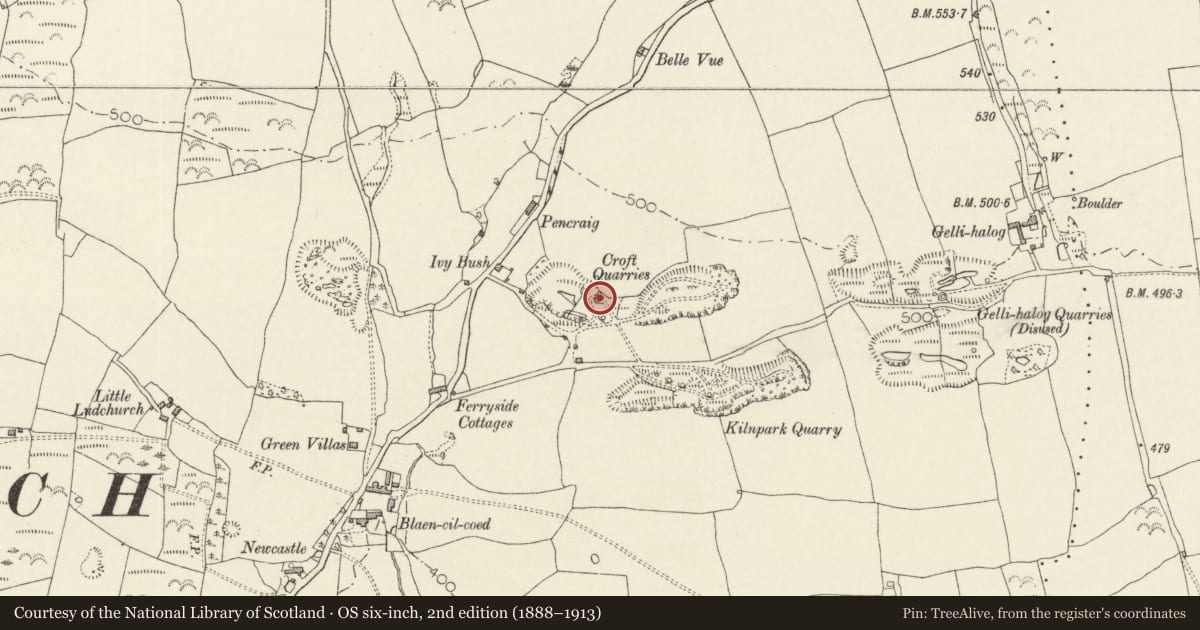 Ordnance Survey six-inch map, 2nd edition (1888–1913) covering the location of Central Limekiln at Croft Quarries, Blaencilgoed, Lampeter Velfrey, Pembrokeshire, with a pin at the register's coordinates