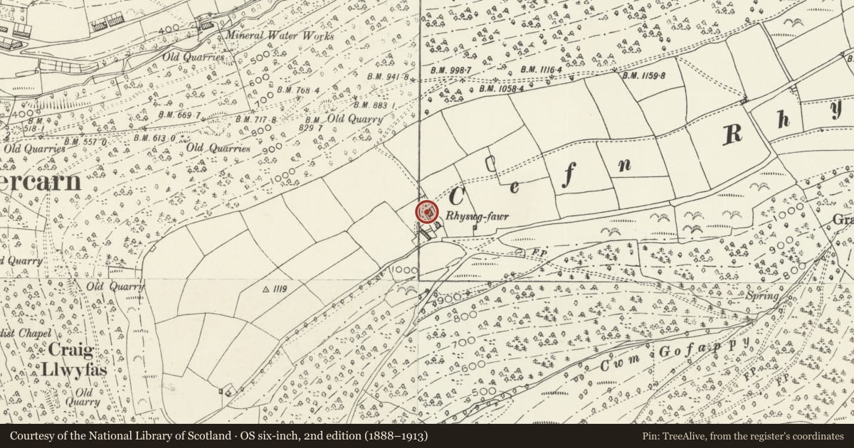 Ordnance Survey six-inch map, 2nd edition (1888–1913) covering the location of Rhyswg Fawr Farmhouse and walled forecourt, Abercarn, Caerphilly, with a pin at the register's coordinates