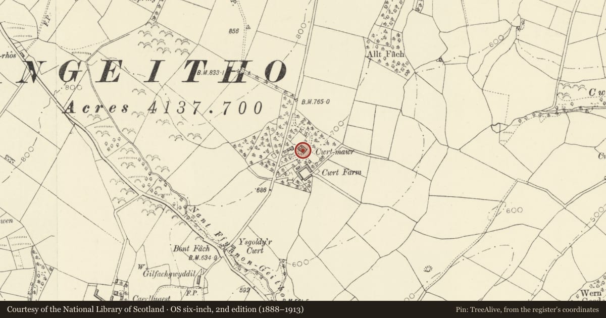 Ordnance Survey six-inch map, 2nd edition (1888–1913) covering the location of Cwrt Mawr, Llangeitho, Ceredigion, with a pin at the register's coordinates