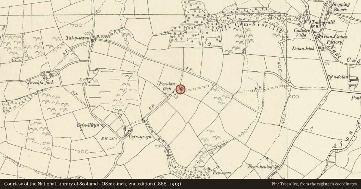 Ordnance Survey six-inch map, 2nd edition (1888–1913) covering the location of Barn at Penlan Fach, Llangeitho, Ceredigion, with a pin at the register's coordinates