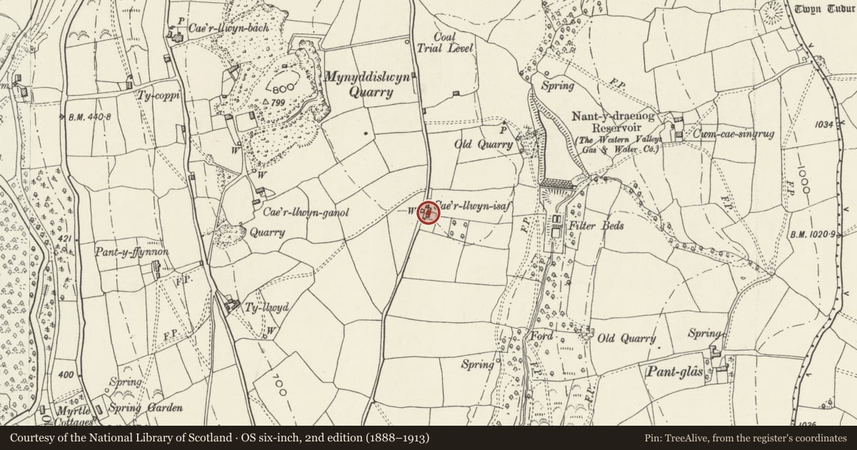 Ordnance Survey six-inch map, 2nd edition (1888–1913) covering the location of Caerllwyn Isaf and attached byre/stable, Ynysddu, Caerphilly, with a pin at the register's coordinates