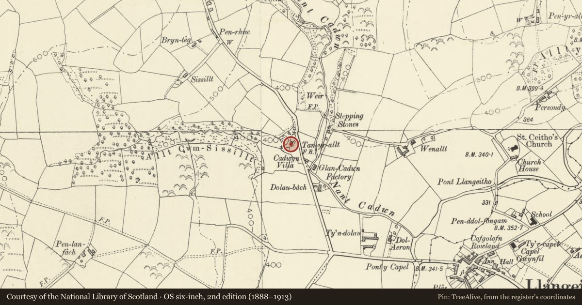 Ordnance Survey six-inch map, 2nd edition (1888–1913) covering the location of Tan-yr-Allt, Llangeitho, Ceredigion, with a pin at the register's coordinates