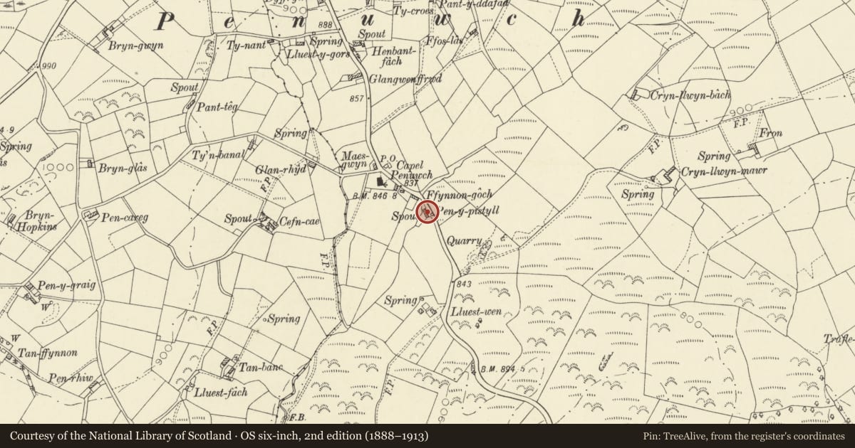 Ordnance Survey six-inch map, 2nd edition (1888–1913) covering the location of Pen-y-pistyll Mawr, Llangeitho, Ceredigion, with a pin at the register's coordinates