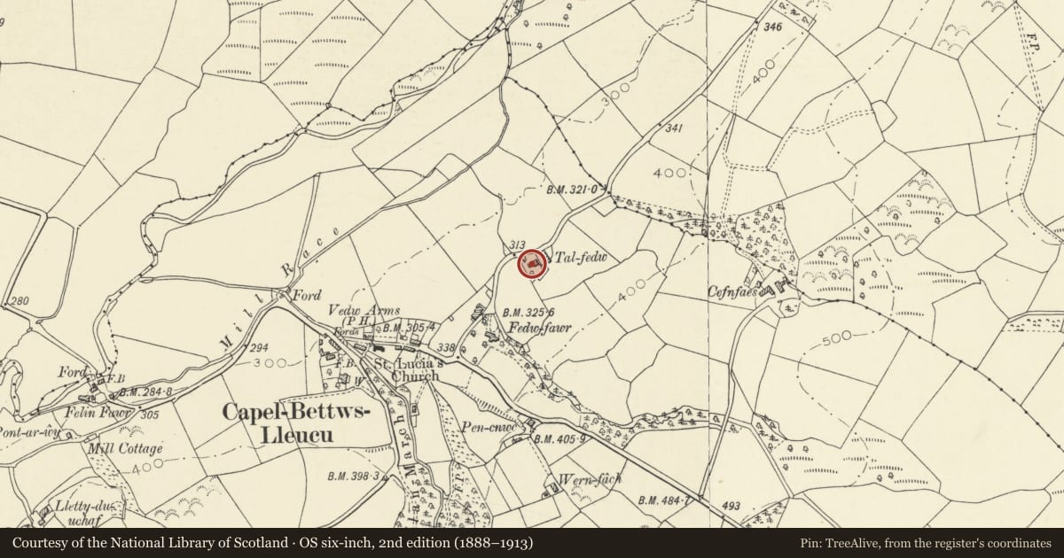Ordnance Survey six-inch map, 2nd edition (1888–1913) covering the location of Tal-Fedw, Llangeitho, Ceredigion, with a pin at the register's coordinates