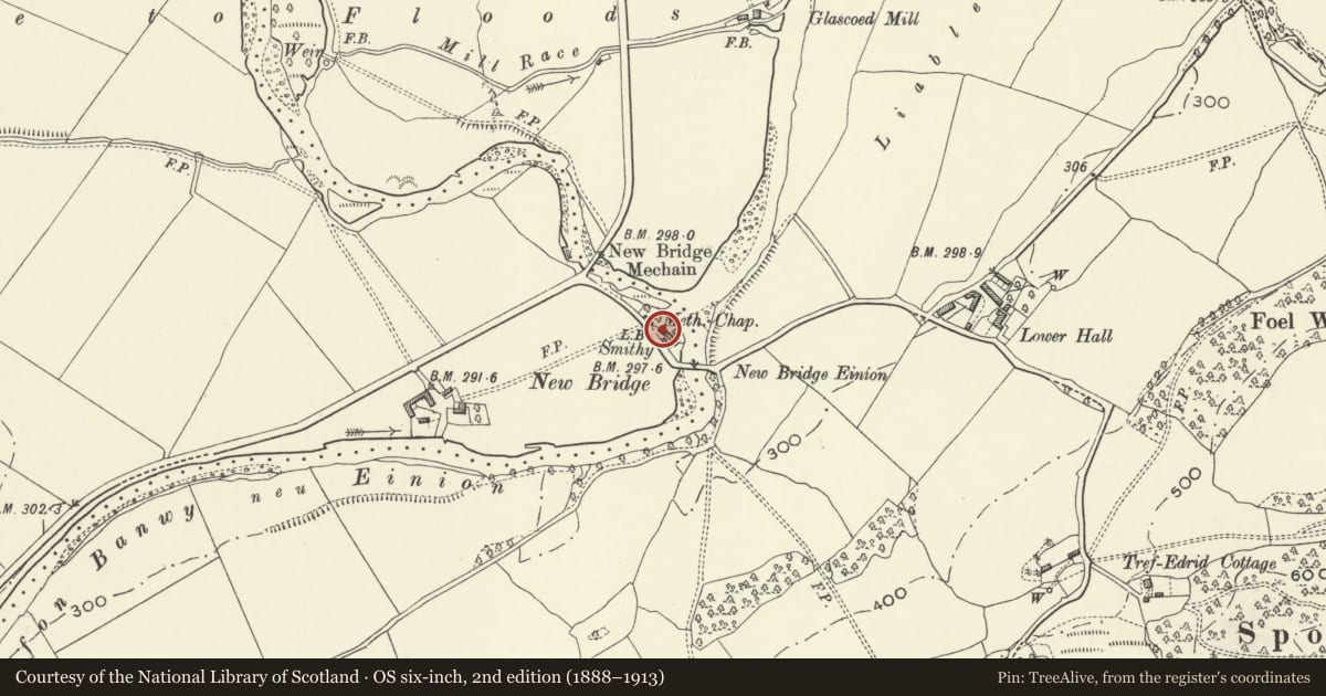 Ordnance Survey six-inch map, 2nd edition (1888–1913) covering the location of Capel Newbridge and Adjacent Workshop, Llangyniew, Powys, with a pin at the register's coordinates