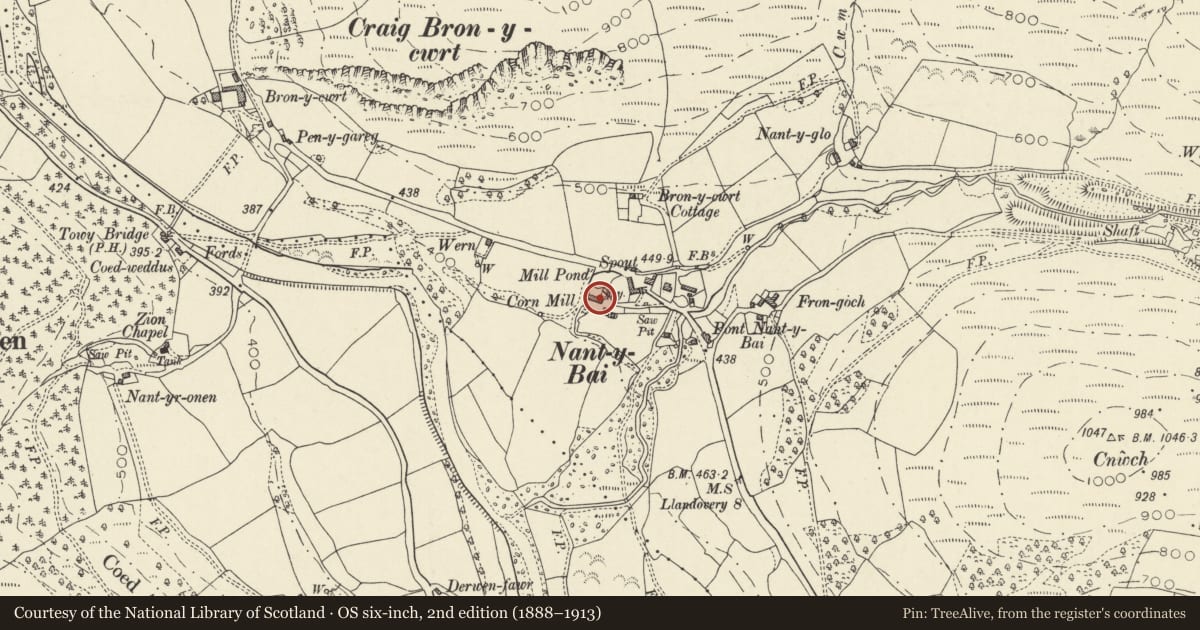 Ordnance Survey six-inch map, 2nd edition (1888–1913) covering the location of Nant y Bai Mill, Llanfair-ar-y-Bryn, Carmarthenshire, with a pin at the register's coordinates