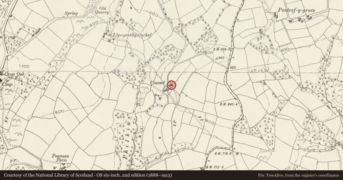 Ordnance Survey six-inch map, 2nd edition (1888–1913) covering the location of Cyncoed Farm Cottage, Penmaen, Caerphilly, with a pin at the register's coordinates
