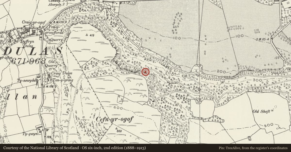 Ordnance Survey six-inch map, 2nd edition (1888–1913) covering the location of Lady Eleanor's Tower, Llanddulas and Rhyd-y-Foel, Conwy, with a pin at the register's coordinates