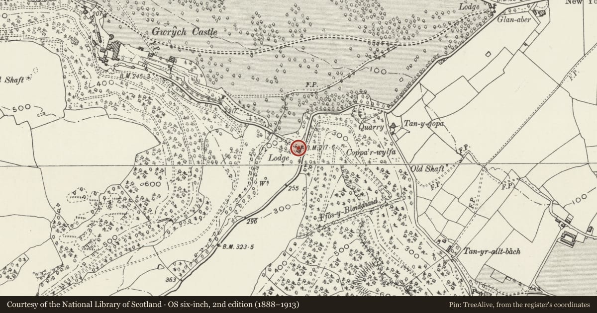 Ordnance Survey six-inch map, 2nd edition (1888–1913) covering the location of Nant-y-Bella Lodge, Llanddulas and Rhyd-y-Foel, Conwy, with a pin at the register's coordinates