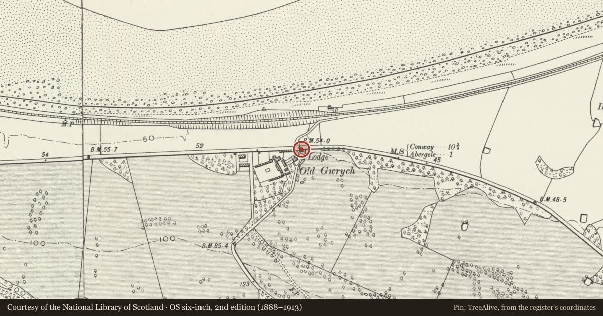 Ordnance Survey six-inch map, 2nd edition (1888–1913) covering the location of Hen Wrych Lodge including adjoining crenellated boundary walls and towers, Llanddulas and Rhyd-y-Foel, Conwy, with a pin at the register's coordinates