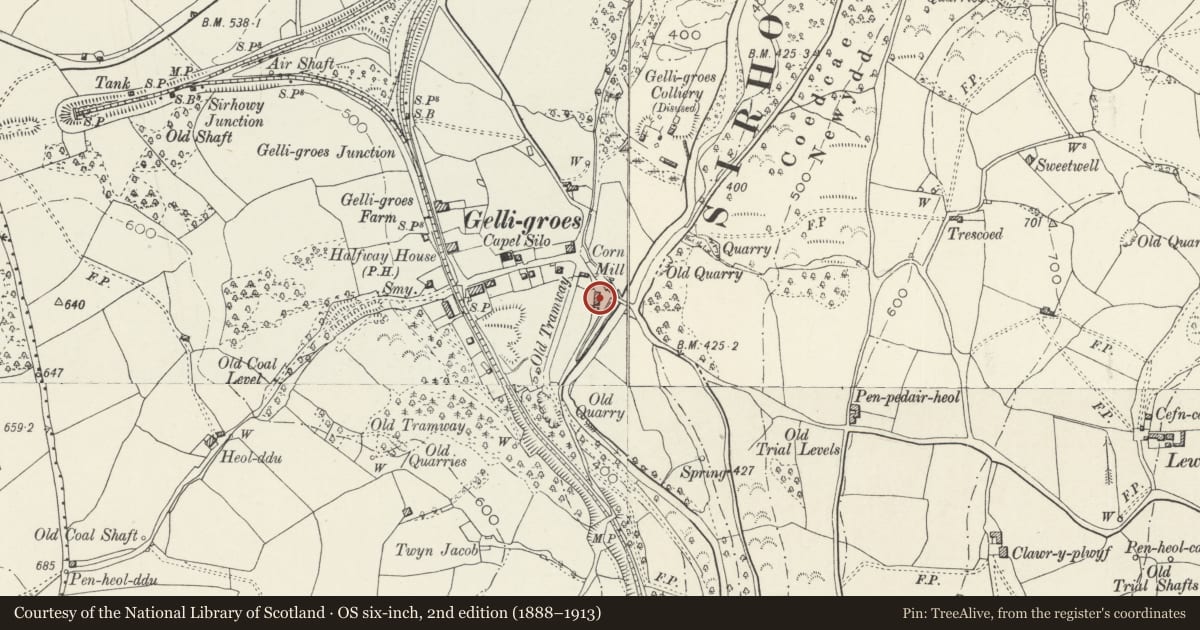 Ordnance Survey six-inch map, 2nd edition (1888–1913) covering the location of Gelli-groes Millhouse and attached Barn, Pontllanfraith, Caerphilly, with a pin at the register's coordinates