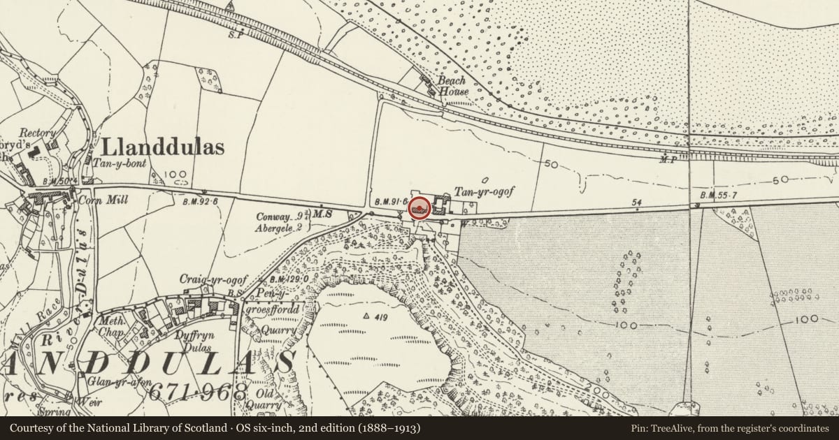 Ordnance Survey six-inch map, 2nd edition (1888–1913) covering the location of Plas Tan-yr-Ogof including adjoining walls and arches to E and W, Llanddulas and Rhyd-y-Foel, Conwy, with a pin at the register's coordinates