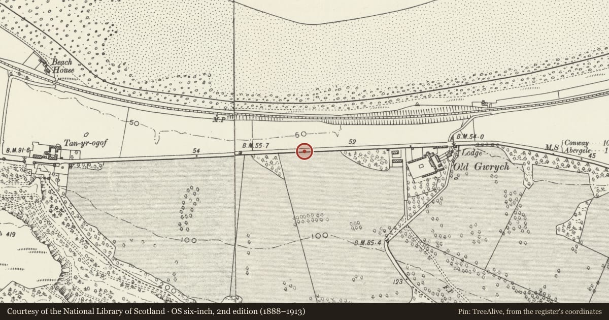 Ordnance Survey six-inch map, 2nd edition (1888–1913) covering the location of Gwrych Estate Boundary Wall from Tan-yr-Ogof to Gwrych Lodge, Llanddulas and Rhyd-y-Foel, Conwy, with a pin at the register's coordinates