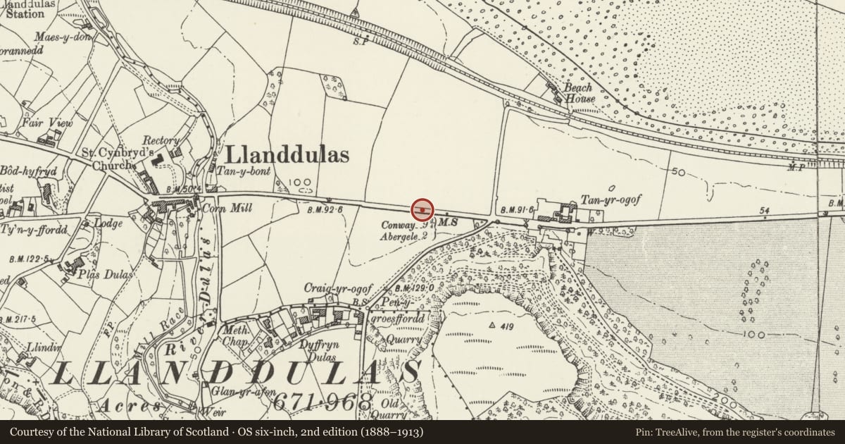 Ordnance Survey six-inch map, 2nd edition (1888–1913) covering the location of Gwrych Estate Boundary Wall to S side of Abergele Road, Llanddulas and Rhyd-y-Foel, Conwy, with a pin at the register's coordinates