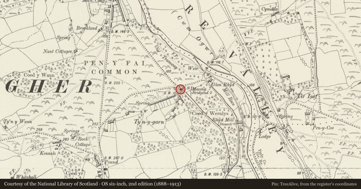 Ordnance Survey six-inch map, 2nd edition (1888–1913) covering the location of Tynygarn Mile marker, Newcastle Higher, Bridgend, with a pin at the register's coordinates