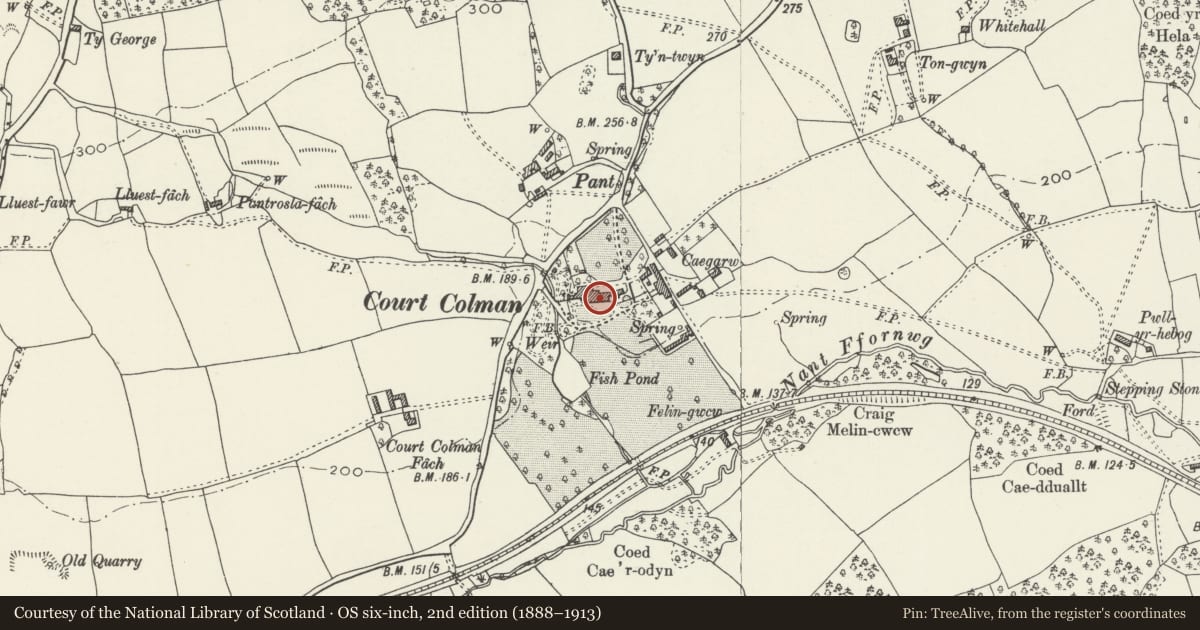 Ordnance Survey six-inch map, 2nd edition (1888–1913) covering the location of Court Colman, Newcastle Higher, Bridgend, with a pin at the register's coordinates
