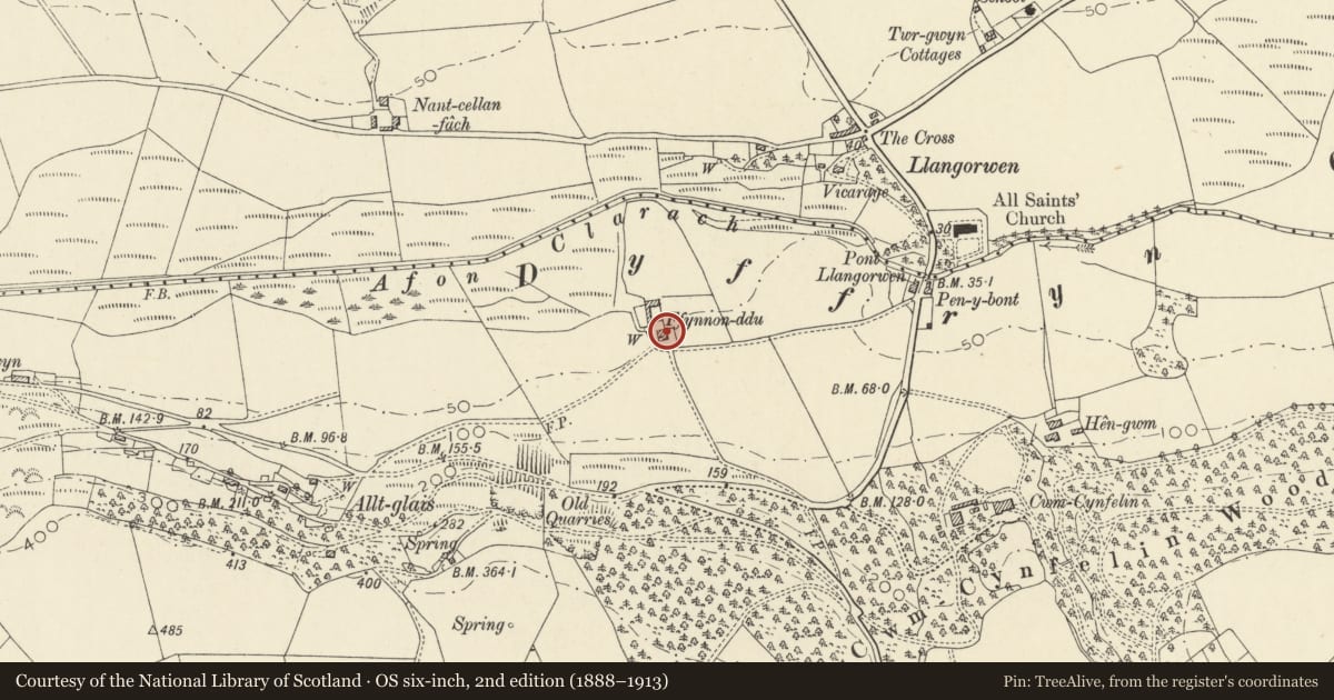 Ordnance Survey six-inch map, 2nd edition (1888–1913) covering the location of Fynnon Ddu, Tirymynach, Ceredigion, with a pin at the register's coordinates