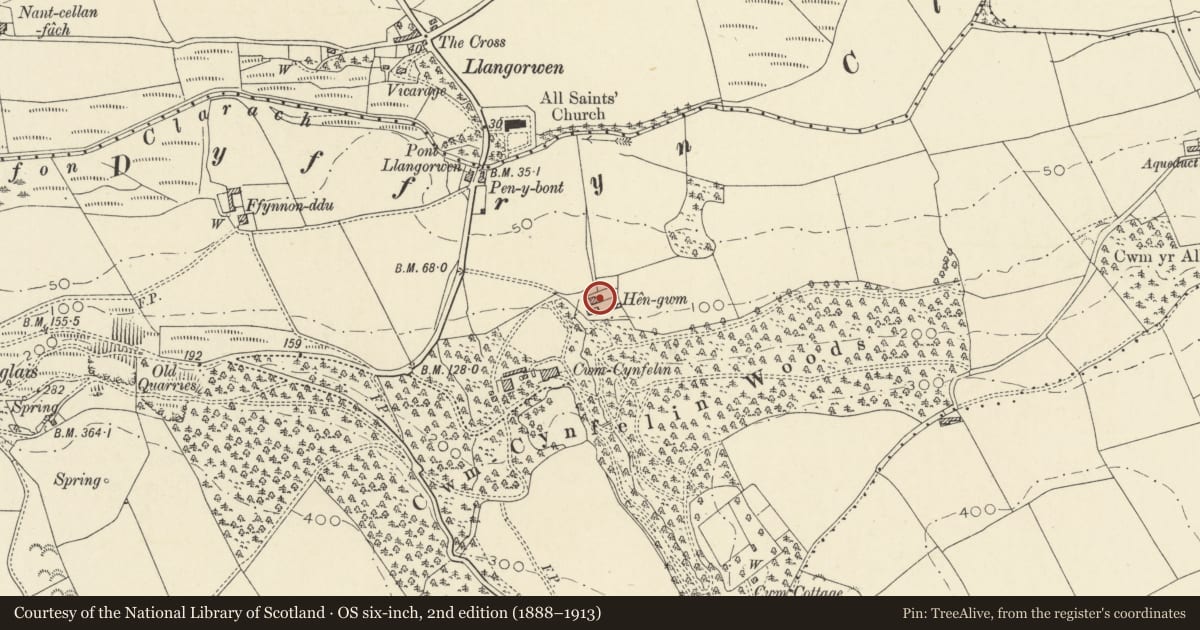 Ordnance Survey six-inch map, 2nd edition (1888–1913) covering the location of Hen-gwm, Tirymynach, Ceredigion, with a pin at the register's coordinates