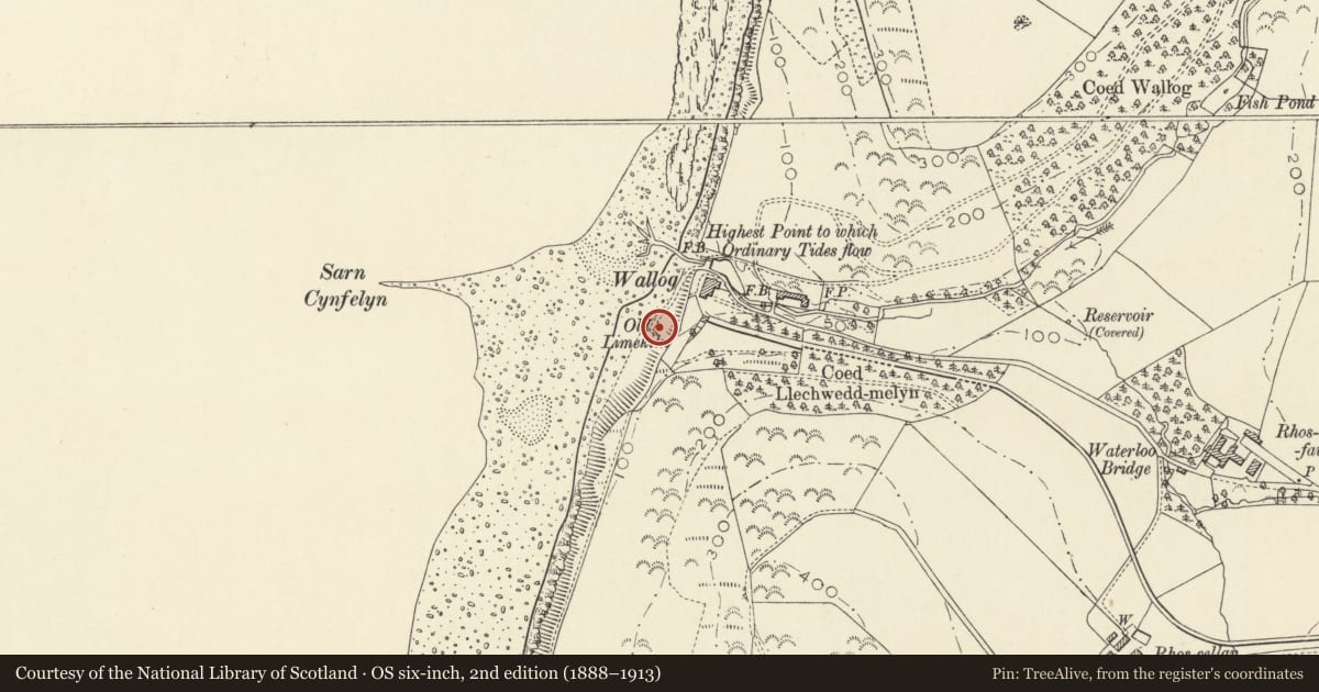 Ordnance Survey six-inch map, 2nd edition (1888–1913) covering the location of Lime-kiln at Wallog, Tirymynach, Ceredigion, with a pin at the register's coordinates