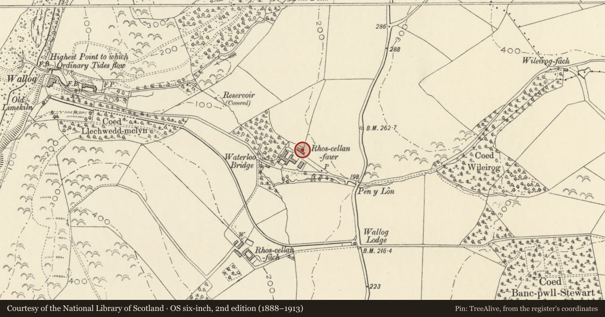 Ordnance Survey six-inch map, 2nd edition (1888–1913) covering the location of Rhoscellan Fawr, Tirymynach, Ceredigion, with a pin at the register's coordinates