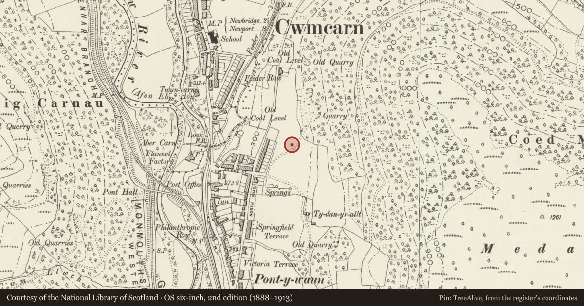 Ordnance Survey six-inch map, 2nd edition (1888–1913) covering the location of 2 Garden Suburbs, Crosskeys, Caerphilly, with a pin at the register's coordinates