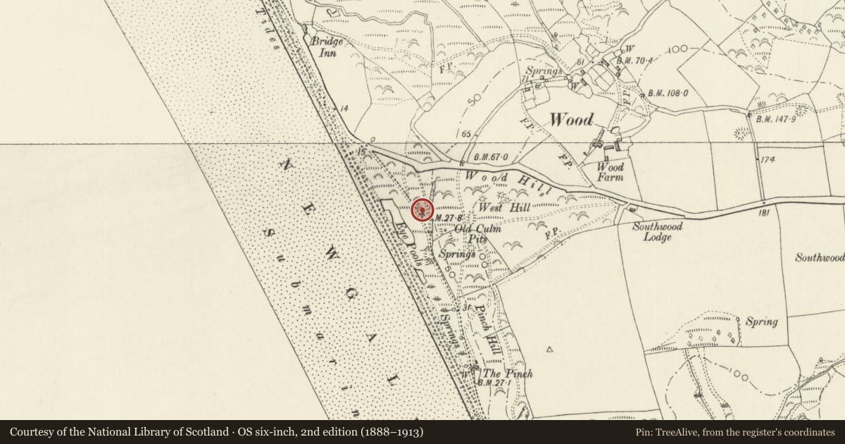 Ordnance Survey six-inch map, 2nd edition (1888–1913) covering the location of Limekiln at S end of Newgale Sands, Nolton and Roch, Pembrokeshire, with a pin at the register's coordinates