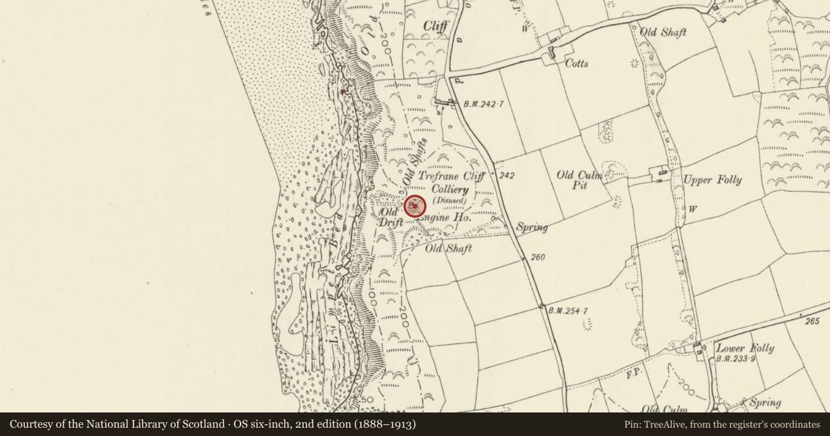 Ordnance Survey six-inch map, 2nd edition (1888–1913) covering the location of Trefrane Cliff Colliery Chimney, Nolton and Roch, Pembrokeshire, with a pin at the register's coordinates