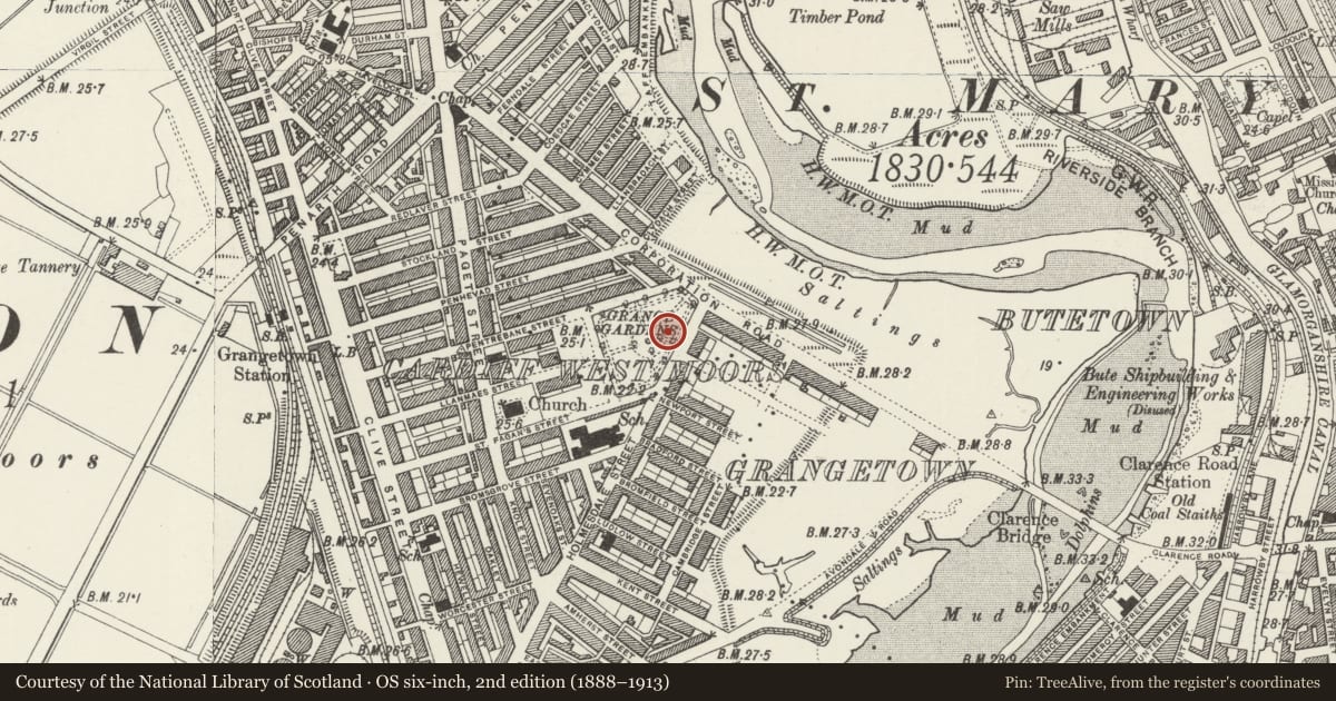 Ordnance Survey six-inch map, 2nd edition (1888–1913) covering the location of War Memorial in Grange Gardens, including enclosure railings, Grangetown, Cardiff, with a pin at the register's coordinates