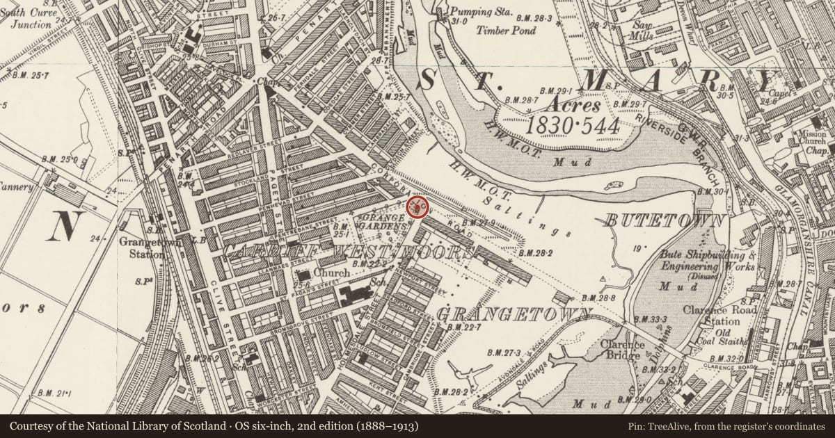 Ordnance Survey six-inch map, 2nd edition (1888–1913) covering the location of Shelter in Grange Gardens, Grangetown, Cardiff, with a pin at the register's coordinates