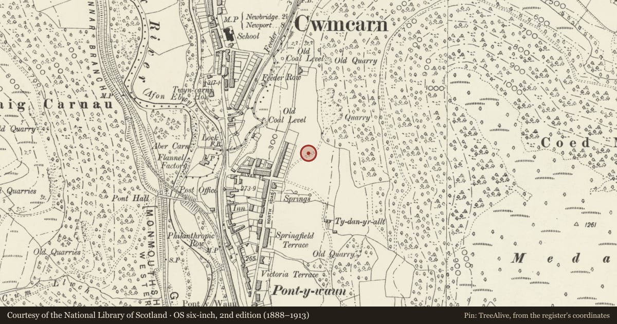 Ordnance Survey six-inch map, 2nd edition (1888–1913) covering the location of 6 Garden Suburbs, Crosskeys, Caerphilly, with a pin at the register's coordinates