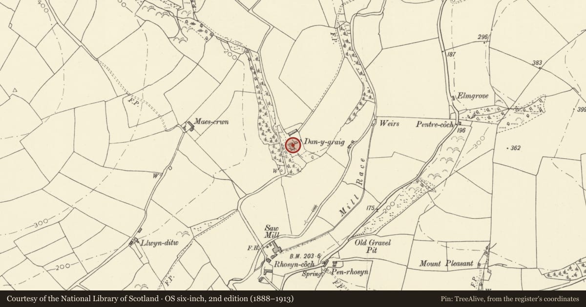 Ordnance Survey six-inch map, 2nd edition (1888–1913) covering the location of Dan-y-Graig, Meidrim, Carmarthenshire, with a pin at the register's coordinates